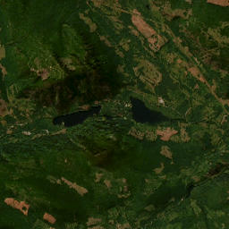 Unnamed Road, Errington, BC V0R 1V0 Satellite Map