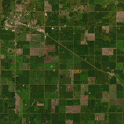 Highway 9, Benson, MN 56215, USA Satellite Map