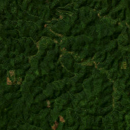 National Forest Development Road 32, Siuslaw National Forest Satellite Map