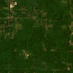 Highway 55, Manistee National Forest, Cadillac Satellite Map