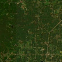 19090 West Marion Road, Tustin, MI 49688 Satellite Map