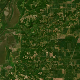 Wildwood Lane me<x>tamora IL 61548 Satellite Map