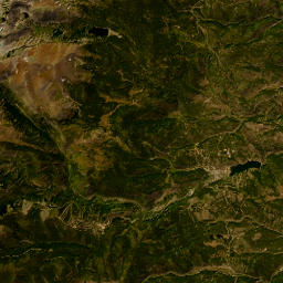 Shelf Road, Roosevelt National Forest, Nederland, CO Satellite Map