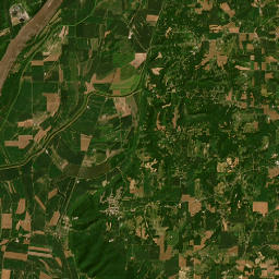 1998 Ziebold Road Waterloo IL 62298 Satellite Map