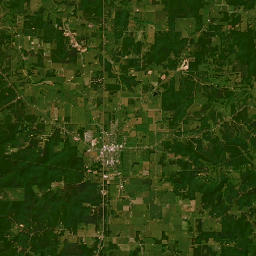 19092-19102 Missouri 32, Licking, MO Satellite Map