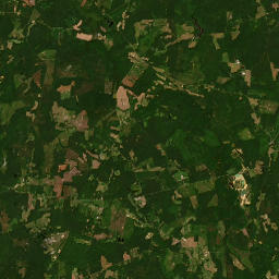 24100-24190 Neblett Mill Rd, Waverly, VA 23890, map(satellite map)