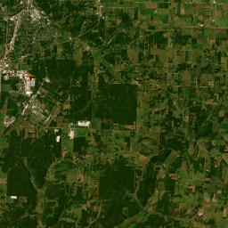 Owl Road, Neosho, MO 64850, America Satellite Map