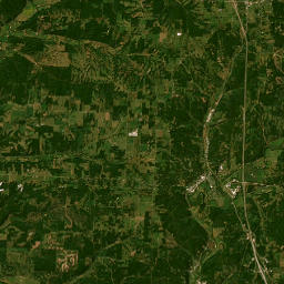 203-209 Oak Street, Anderson, MO 64831 Satellite Map