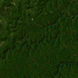 Yamacraw - Bell Farm Road, Daniel Boone Satellite Map