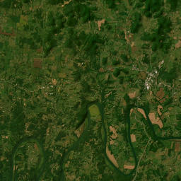 540 Canoe Branch Spur Castalian Springs Satellite Map