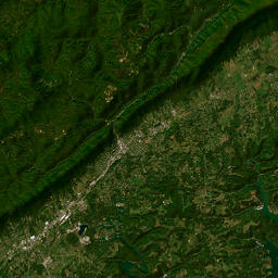 161 Sharp and Perkins Rd Jacksboro Satellite Map