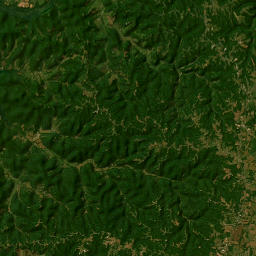 3009 Morrison Creek Rd Gainesboro Satellite Map