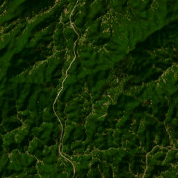 State Road 1395, Burnsville, NC 28714 Satellite Map