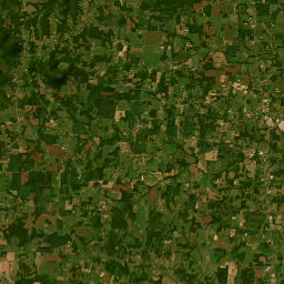 172-598 Roy Womack Rd Smithville Satellite Map