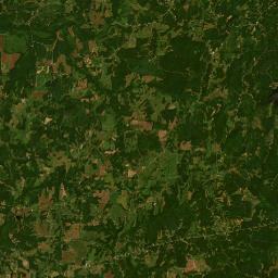 4792-4954 Life Road, Lexington, TN 38351 Satellite Map