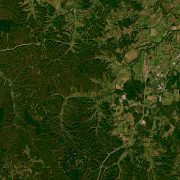 206 Walton Road, Hampshire, TN 38461 Satellite Map