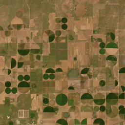 226-298 Farm to Market Road 1342, Panhandle Satellite Map