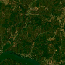 6990 County Road 14, Waterloo, AL  Satellite Map