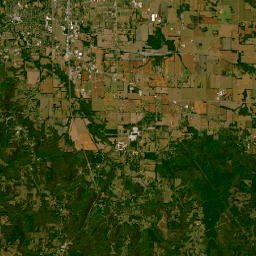 100-198 Emily Drive Muscle Shoals Satellite Map