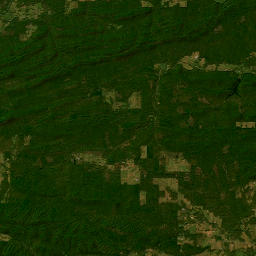 92 Gaston Rd Mt Ida AR 71957 Satellite Map