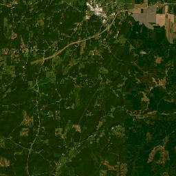 147 Maple St Vina AL 35593 USA Satellite Map