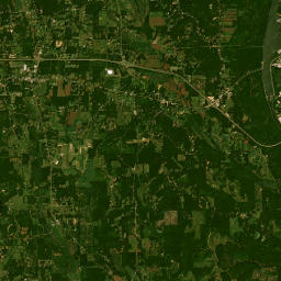 117-119 Co Rd 800 Tupelo MS 38804 Satellite Map