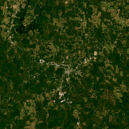 10792 Alabama 13 Haleyville AL 35565 Satellite Map