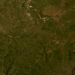 7610-7632 Tall Pine Drive, Apache Sitgreaves National Forest, Satellite Map