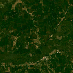 Highway 17, Sulligent, AL 35586, USA Satellite Map