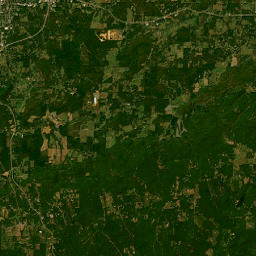 734 Pace St Cedartown GA 30125 Satellite Map