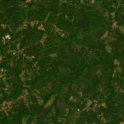 1011-1077 Veribest Road, Carlton, GA 30627 Satellite Map