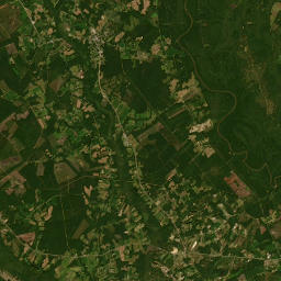 3700-3822 State Road S-21-597, Pamplico Satellite Map