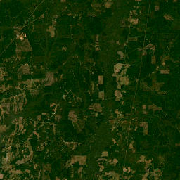40378 Center Hill Road, Hamilton, MS 39746 Satellite Map