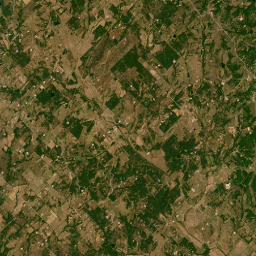 Farm to Market 1655, Sunset, TX Satellite Map