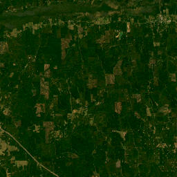 Liberty Lyles Woodard Road, Millport, AL Satellite Map