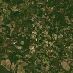 548-632 Willow Swamp Road, Norway, SC Satellite Map