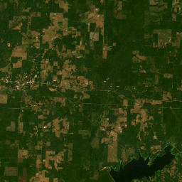 County Road 41, Buckner, AR 71827, USA Satellite Map