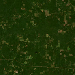 101-461 Old Camden Rd Mt Holly AR Satellite Map