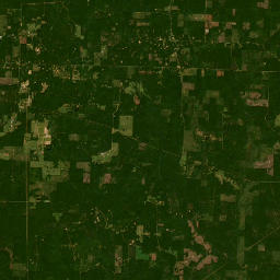 2009-2237 Columbia Road 34, Magnolia, AR Satellite Map