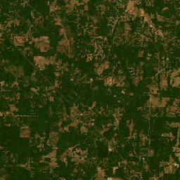 Whitten Lane, Luthersville, GA 30251, USA Satellite Map