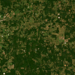 Farm to Market 852, Winnsboro, TX 75494 Satellite Map