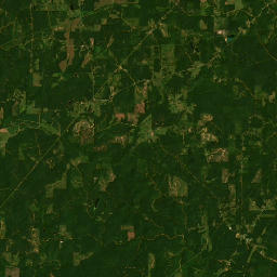 County Road 4102, Sallis, MS 39160, USA Satellite Map