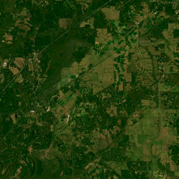 315 Main Street, Eutaw, AL 35462, USA Satellite Map