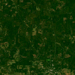 County Road 21, Greensboro, AL 36744 Satellite Map