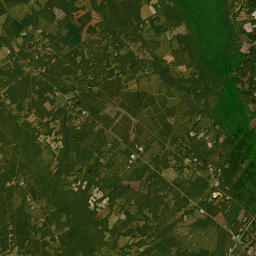 Daves Road, Varnville, SC 29944, USA Satellite Map