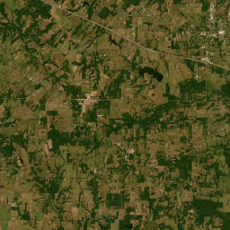 Farm to Market 1995, Van, TX 75790 Satellite Map