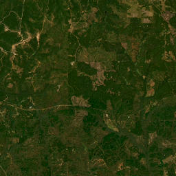 Clarke Duncan Highway, Cusseta, GA 31805 Satellite Map