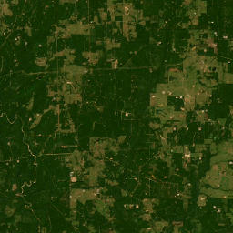 8584 Farm to Market 2517, Carthage, TX Satellite Map