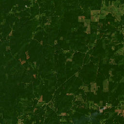 1146 Roberts County Line Road, Bienville National Forest Satellite Map