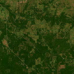 Troy Highway, Pike Road, AL 36064, USA Satellite Map